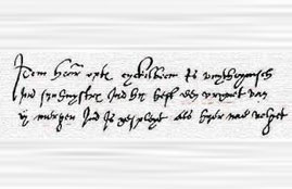 transcripties_van_akten_uit_het_gerechtelijkchief_van_de_Veluwe