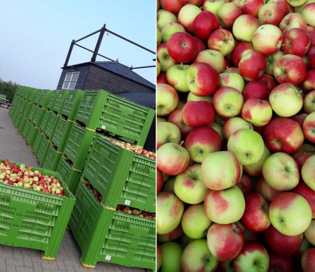 Geplukte appels