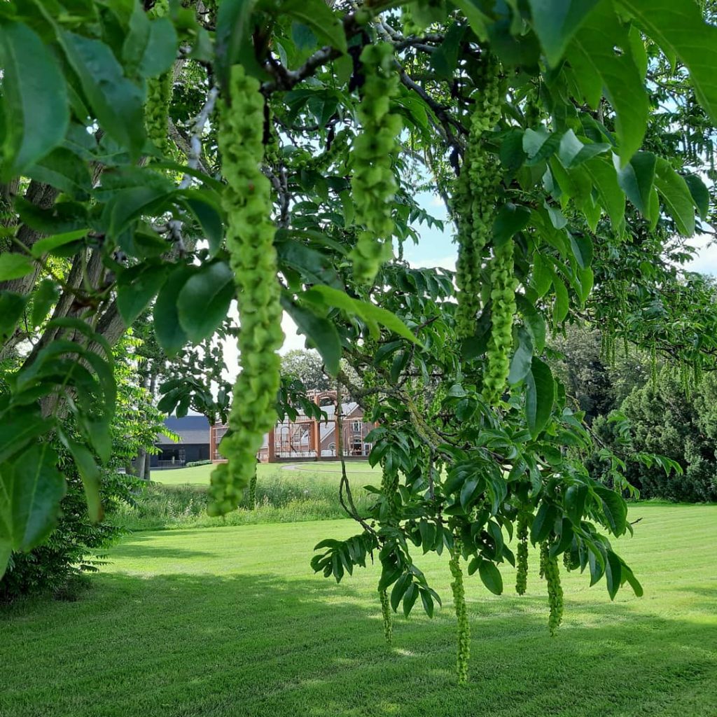 Parktuin